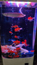 美諾魚缸客廳半圓型魚缸屏風(fēng)大中小型家用落地式玻璃金魚缸生態(tài)免換水 白冰花 60*40*138 曬單實拍圖