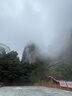 蕉下（beneunder）防紫外線遮陽傘五折口袋黑膠晴雨傘防曬傘BM665葉舞 曬單實拍圖