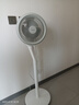 美的（Midea）電風(fēng)扇 空氣循環(huán)扇家用立式落地大風(fēng)力搖頭落地扇電扇桌面臺扇輕音低噪小風(fēng)扇 FGA24TS 曬單實拍圖