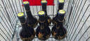 郎酒青花郎酒醬香型白酒 53度 500mL 6瓶 光瓶年份隨機(jī) 曬單實(shí)拍圖