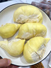 榴戀萊新鮮泰國進口金枕榴蓮水果鮮榴蓮時令 巴掌新鮮榴蓮水果 凈重4.1-5.1斤裝（1-2個） 曬單實拍圖