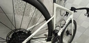 SPECIALIZED閃電 ALLEZ E5 DISC SPORT 碳纖維前叉彎把耐力公路自行車(chē) 鴿子灰/酷灰/青銅變色 49 曬單實(shí)拍圖