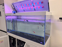 江彩缸內(nèi)無管件卓底濾魚缸客廳2025新款寧無管道靜音魚缸大中型定制 長150x寬60x缸75x柜80x總高161cm 曬單實拍圖