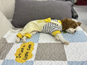 MIKI PAD寵物狗狗衣服小型犬可牽引外出背帶褲春夏幼犬衣服比熊泰迪雪納瑞 黃色小熊背帶褲 L背長35cm（參考體重9-13斤） 曬單實(shí)拍圖