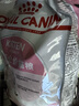 皇家幼貓貓糧 幼貓奶糕 K36 通用糧 4-12月 2KG 曬單實拍圖