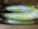 新鮮白糯玉米農(nóng)家自種牛奶甜糯玉米早餐代餐苞谷嫩玉米棒子蔬菜 5斤 曬單實(shí)拍圖