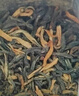 張一元茶葉特級(jí)云南滇紅茶濃香型新茶金芽紅茶75g罐裝中國(guó)元素系列 罐裝 75g 1罐 云南滇紅 曬單實(shí)拍圖