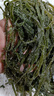 鹽漬海帶絲 霞浦新鮮海帶 涼拌菜火鍋食材 500g*1包 曬單實拍圖