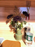 枯彩黑玫瑰干花花束真花永生花家居裝飾拍照道具民宿陳舊復古DIY A級大花黑玫瑰3支+配草 曬單實(shí)拍圖