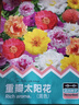 新品藍色太陽(yáng)花陽(yáng)臺庭院種植四季開(kāi)花進(jìn)化空氣 1號進(jìn)口太陽(yáng)花種子【混色包括所 2包約2萬(wàn)?！舅募狙h(huán)開(kāi)花】 曬單實(shí)拍圖