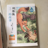 【新華書店 正版現(xiàn)貨】快樂讀書吧五年級(jí) 上冊(cè) 一千零一夜+非洲民間故事老人的智慧+中國(guó)民間故事 田螺姑娘+歐洲民間故事:聰明的牧羊人+列那狐的故事 下冊(cè)西游記 紅樓夢(mèng) 三國(guó)演義 水滸傳(全4冊(cè)) 五年 曬單實(shí)拍圖