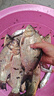 民間藝人二代大師線組綁好的魚(yú)線無(wú)結(jié)成品主線套裝釣魚(yú)臺(tái)釣漁具垂釣用品 曬單實(shí)拍圖