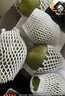 京鮮生 攀枝花凱特芒 凈重8.5斤 帶箱9斤 單果600g+ 生鮮水果 源頭直發(fā) 曬單實(shí)拍圖
