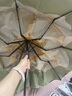 蕉下（beneunder）防紫外線遮陽(yáng)傘三折雙層黑膠晴雨傘防曬傘BM664月霧 曬單實(shí)拍圖