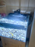 樂迪魚缸燈72W爆藻燈原生態(tài)溪流缸燈金魚出苔 NX扁燈  黑色80W 【五路可調(diào)光譜】 曬單實(shí)拍圖