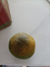 粵迎云南蜜桔酸甜口感特早熟桔子青皮蜜橘新鮮水果當季整箱青皮柑子 9斤精選果【單果50mm+】凈8.5斤 曬單實拍圖
