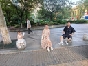 三彩2025夏季新款網(wǎng)紗吊帶裙收腰A字裙氛圍感長裙度假浪漫M 曬單實拍圖