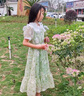 木木屋童裝女童連衣裙夏季2025新款6-12歲兒童公主裙洋氣女孩裙子夏款潮 2401綠色 150 適合140-150cm年齡11-12歲 曬單實拍圖