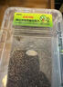 渠辰蛭石烏龜孵化烏龜孵化箱烏龜?shù)胺趸飨錇觚數(shù)胺趸鳛觚敺趸?S碼孵化器1套（適合6個蛋） 【操作方便，可重復(fù)使用） 曬單實拍圖