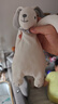 澳貝（auby）嬰幼兒玩具小兔安撫巾寶寶哄睡神器阿貝貝新生兒毛絨手偶滿月禮物 曬單實拍圖