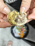 崠鮮活珠子新鮮13天五香香辣味開袋即食毛蛋活珠子雞胚蛋熟鋼化蛋雞蛋 香辣活珠子10枚400g 曬單實拍圖