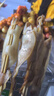 密水農(nóng)家鐵板大魷魚串燒烤串火鍋油炸食材水產(chǎn)商用鮮活冷凍半成品海鮮 魷魚串70g*20串 曬單實拍圖