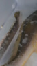 鮮京采 冷凍三去黃花魚(寧德大黃魚)1700g (5條裝)  禮盒  生鮮 海魚 曬單實拍圖