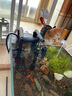 AMTRA TECHNIK德國安彩壁掛過濾器ex350小型魚缸過濾器烏龜缸壁掛式凈水 EX350 除油膜版【內(nèi)含濾材】 曬單實拍圖