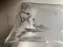 SMVP南方大口鯰魚(yú)苗淡冷水養殖胡二須子鯰大型冷水魚(yú)埃及鯰魚(yú)土鯰魚(yú)苗淡水魚(yú)苗活體 【順豐】10條+1條+飼料 7-10厘米大口鯰魚(yú)苗 曬單實(shí)拍圖