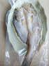 鮮京采三去海鱸魚3斤/3條 生鮮魚類 白蕉鱸魚地標(biāo) 無冰凈重3斤 源頭直發(fā) 曬單實拍圖