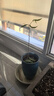 SMVP四大名貴苗木海南黃花梨金絲楠木樹苗珍稀植物沉香小葉紫檀庭院 四大名木各一棵20-30CM高 其他 曬單實(shí)拍圖