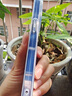 維妮恩適用蘋果16promax手機(jī)殼新款創(chuàng)意15promax小眾男女款13Pro超火可愛12硅膠16plus軟殼14PM全包防摔 KKL【偏愛自己】透明軟殼 iPhone 16 Pro Max 曬單實(shí)拍圖