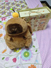 舒星卡皮巴拉文具套裝禮盒生日禮物女孩男孩一年級開(kāi)學(xué)大禮包學(xué)習用品女生小學(xué)生初中生女童兒童幼兒園 曬單實(shí)拍圖