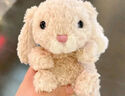 Jellycat米色甜美小兔小短腿公仔動物毛絨玩偶小生日娃娃生日禮物520 甜美小兔 One Size 曬單實拍圖
