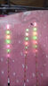 久巖BR夜光漂醒目高靈敏Mini LED電子漂柔光日夜兩用316輕量浮漂魚(yú)漂 BR03-50030湖庫混養(鉛3.0g） 一目變色-0.85mm柔光尾+2粒316 曬單實(shí)拍圖