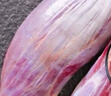 【順豐包郵】新鮮甄選原切牛腱子肉農(nóng)家散養(yǎng)黃牛肉健身滋補(bǔ)牛腱肉 原切牛腱5斤 曬單實(shí)拍圖