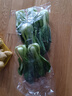 上海青500g(油菜) 曬單實拍圖