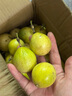 果益壽廣西欽蜜9號(hào)黃金百香果 新鮮水果白香果醬原漿整箱 30個(gè)裝 【單果30g以下】嘗鮮裝 曬單實(shí)拍圖
