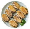 江船長無殼鮑魚肉凈重110g(12粒） 活鮑加工 火鍋燒烤海鮮水產  生鮮 曬單實拍圖
