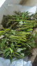 農(nóng)大姐妹香椿 香椿芽新鮮露天香椿芽葉 山東露天紅油香椿  季節(jié)原因偏綠 現(xiàn)摘嫩芽2斤（順豐冷鏈） 曬單實(shí)拍圖