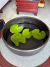 采緹（CAITI）水碗蓮一葉蓮 帶花苞睡蓮荷花大號(hào)小葉迷你水生家用睡蓮?fù)肷徎?小葉4片7-10公分 不含盆 曬單實(shí)拍圖