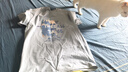 JEANSWEST LIFE真維斯短袖男款2025新款夏季藍(lán)色T恤男純棉美式半袖寬松男士上衣 曬單實(shí)拍圖