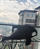 可愛(ài)虎鯨魚(yú)公仔娃娃男女生款抱睡覺(jué)抱枕床上玩偶大號毛絨玩具超軟 黑色虎鯨抱枕 兒童款55厘米(小朋友喜歡) 曬單實(shí)拍圖