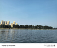 神鯊8邊8孔折疊捕蝦捕魚(yú)籠泥鰍黃鱔龍蝦網(wǎng)蝦籠魚(yú)網(wǎng)漁網(wǎng)鱔魚(yú)抓撲籠漁具 曬單實(shí)拍圖
