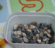 天然原生態(tài)溪流石底砂魚缸專用過濾鵝卵石小石頭龜缸造景裝飾底砂 8-12mm【200g裝】 天然溪流石 曬單實拍圖
