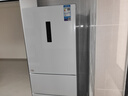 美的（Midea）283白色三門三開門大容量家用小型電冰箱一級(jí)能效風(fēng)冷無(wú)霜租房小冰箱多門以舊換新【國(guó)家補(bǔ)貼】 曬單實(shí)拍圖