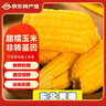 王老寶東北黃糯玉米  甜糯玉米棒 新鮮真空包裝加熱  即食黏玉米 迷你小黃糯(單支150g-180g) 10個 曬單實拍圖