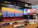 泰坦軍團(tuán)24.5英寸 1152分區(qū) MiniLED 2K 320Hz DyDs技術(shù) RGB背光燈 升降旋轉(zhuǎn)1msGTG專業(yè)電競(jìng)顯示器P245MS+  曬單實(shí)拍圖
