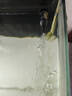 森森（SUNSUN）耀藍(lán)魚缸水泵小型潛水泵過濾泵抽水泵YQP-500 6W 曬單實(shí)拍圖