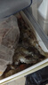 漁吻王牌生鮮大蝦鮮活鹽凍厄瓜多爾白蝦原裝進(jìn)口南美大蝦基圍蝦 【14-17厘米】 3斤(凈重)  40-50 2盒 曬單實(shí)拍圖
